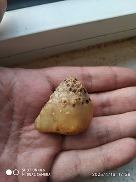 编-终主播照片