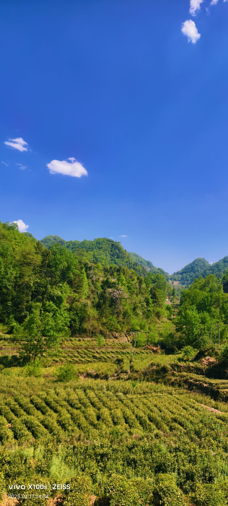 妞妞骑行全国的图片