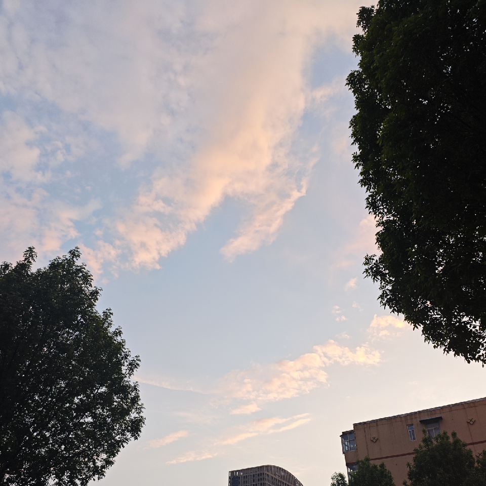 我们明天见.海报