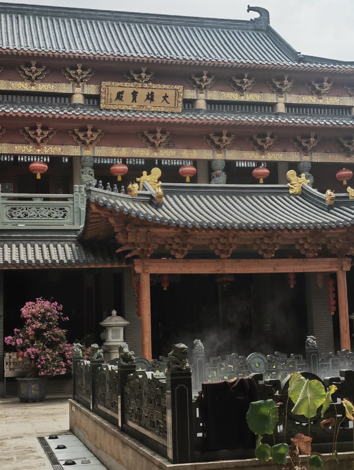 寶兒祝賀簽哥大帝皇呀主播圖片