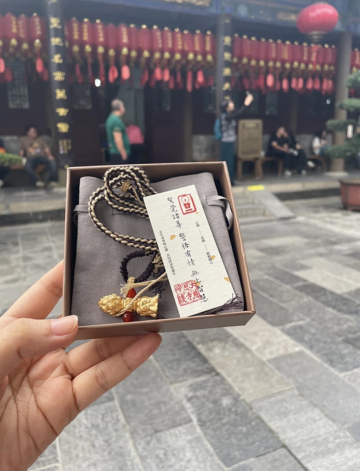 寶兒祝賀簽哥大帝皇呀主播圖片