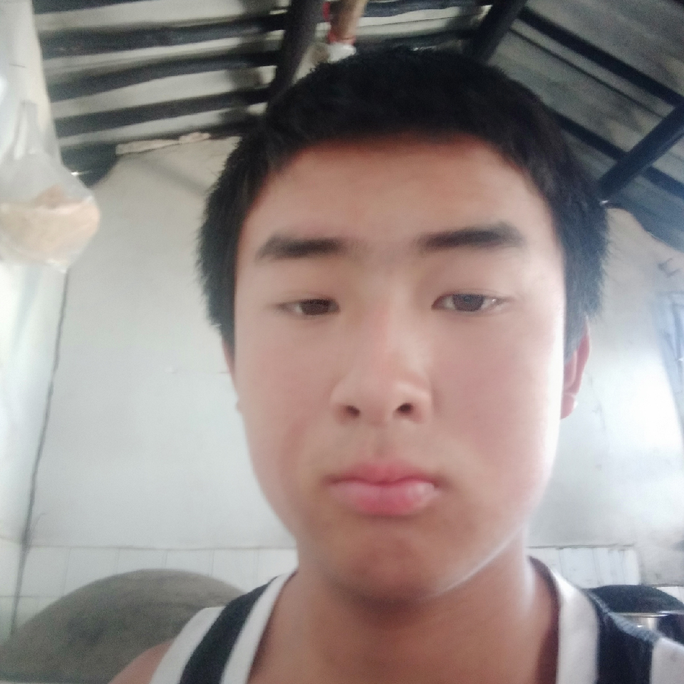 萌新宝宝tRkZFq海报