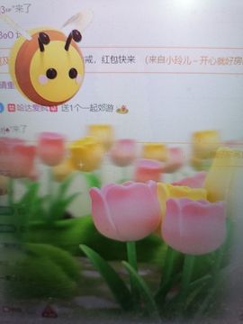 丑小鸭💞愿有一束光主播照片