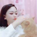 一季飘扬