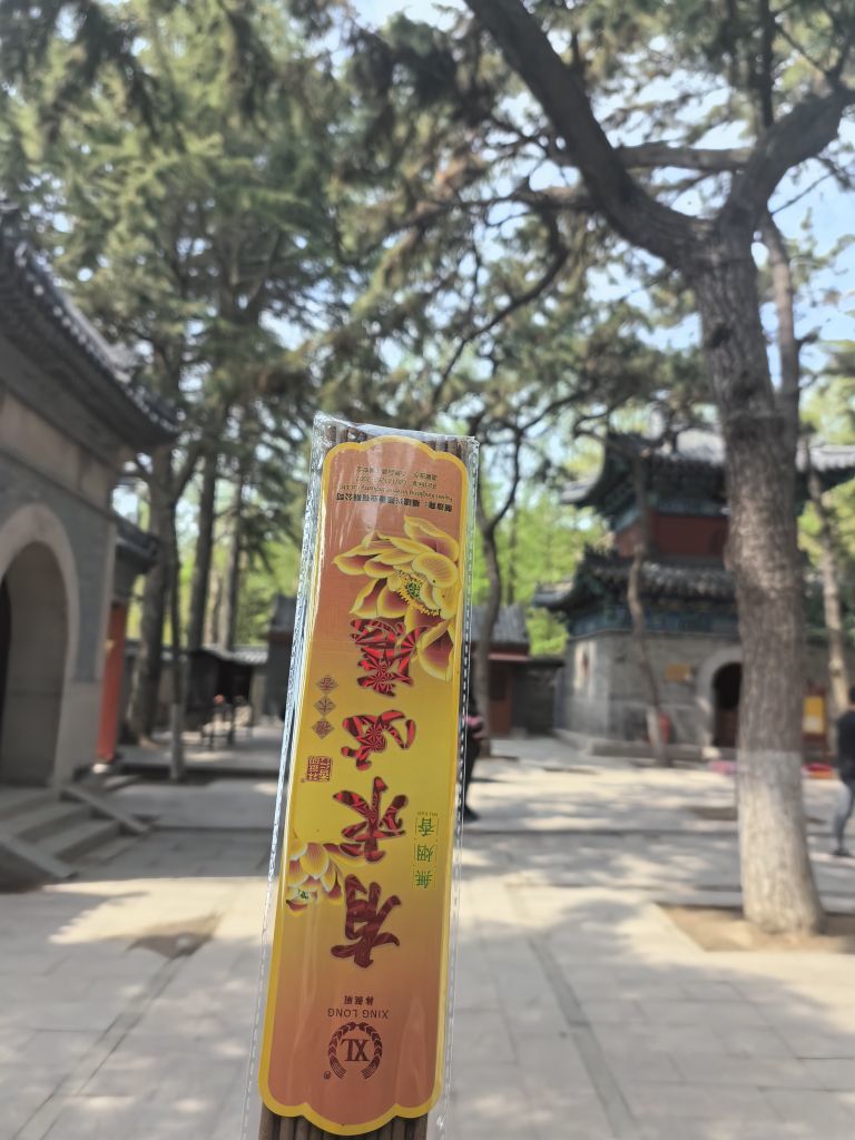 舞心妍??的主播照片