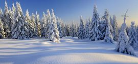 雪燕.主播照片