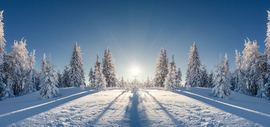 雪燕.主播照片