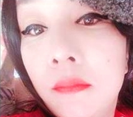 雪燕.的图片