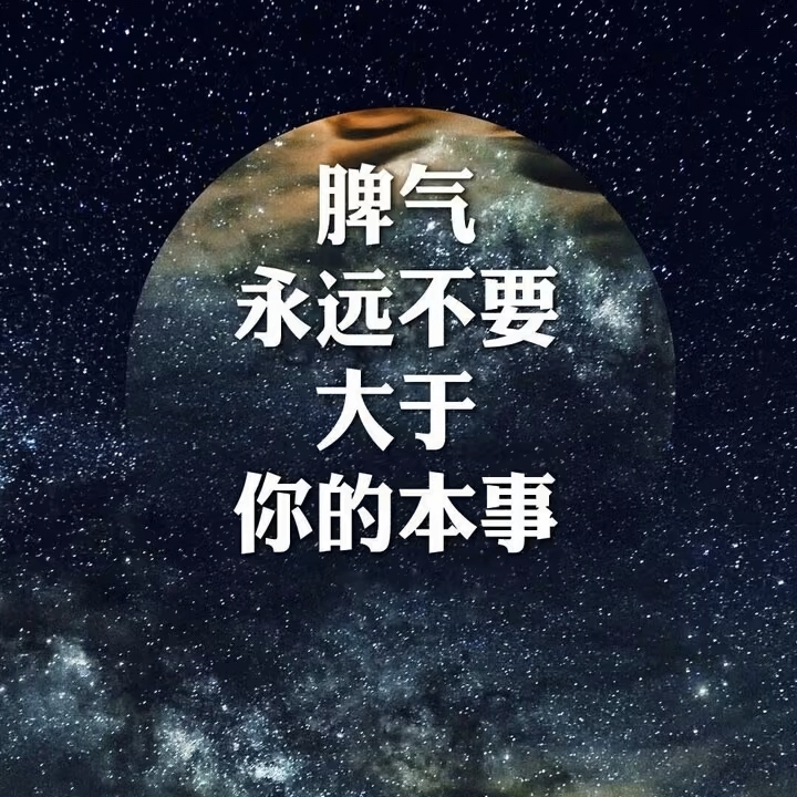 罗密欧与猪蜜月海报