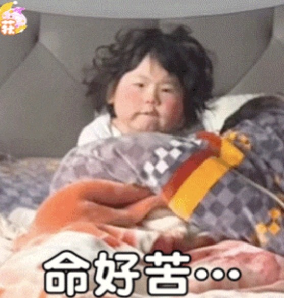 洁儿宝宝💗的图片