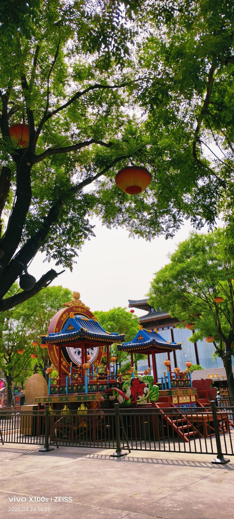 妞妞骑行全国的图片