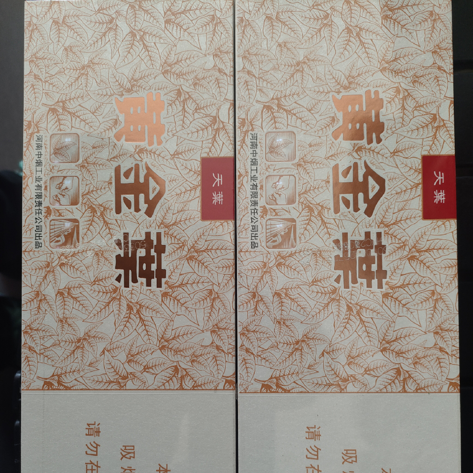 来长白山的丫王の海报