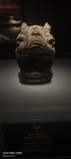 妞妞骑行中国主播照片