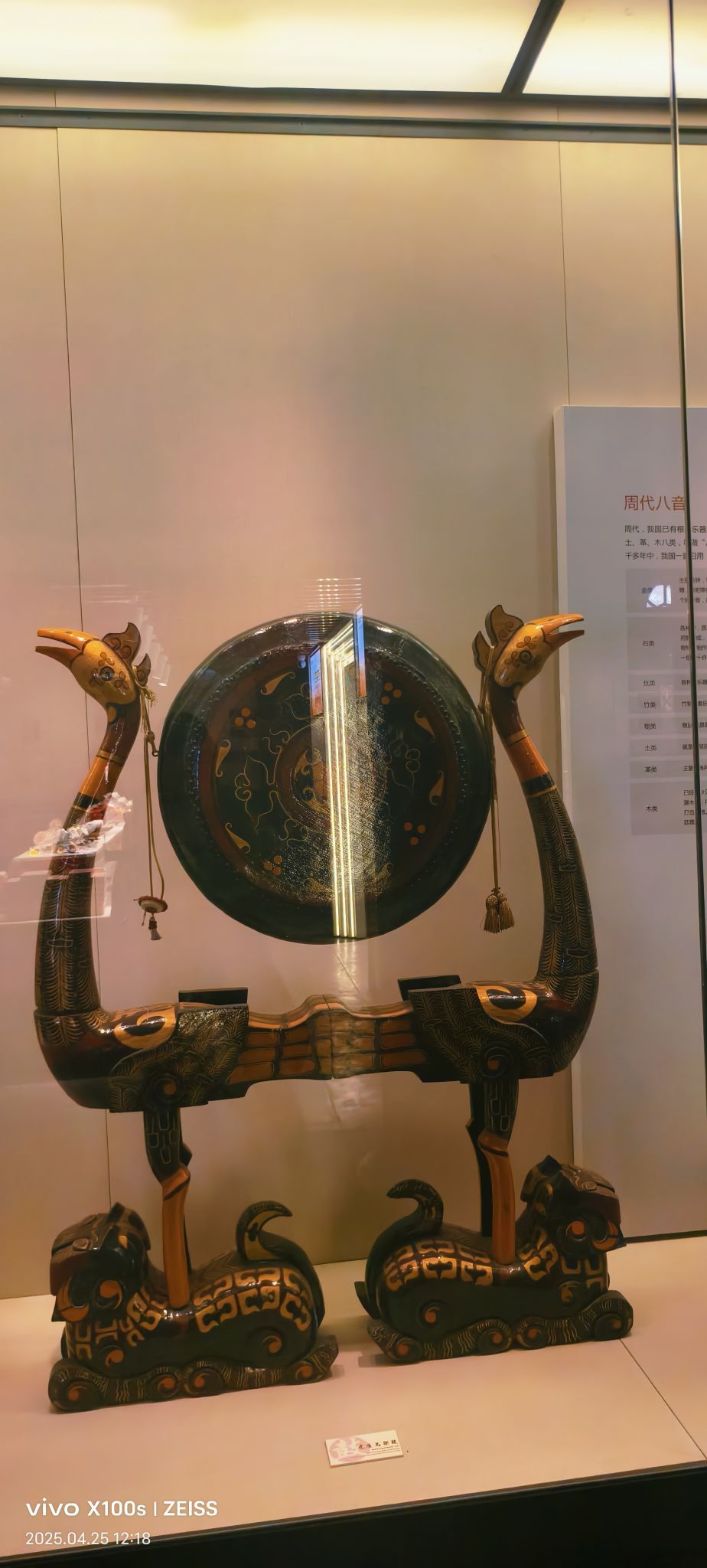 妞妞骑行全国的图片