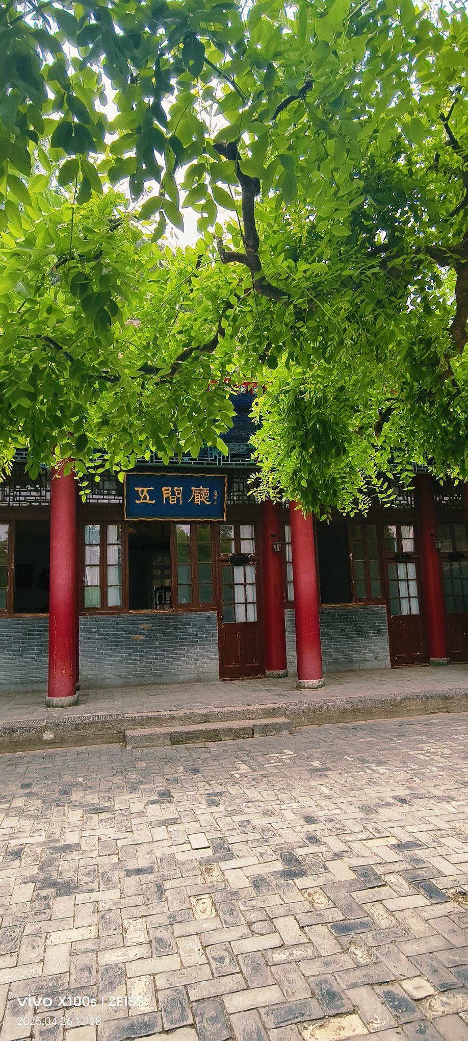 妞妞骑行全国的图片