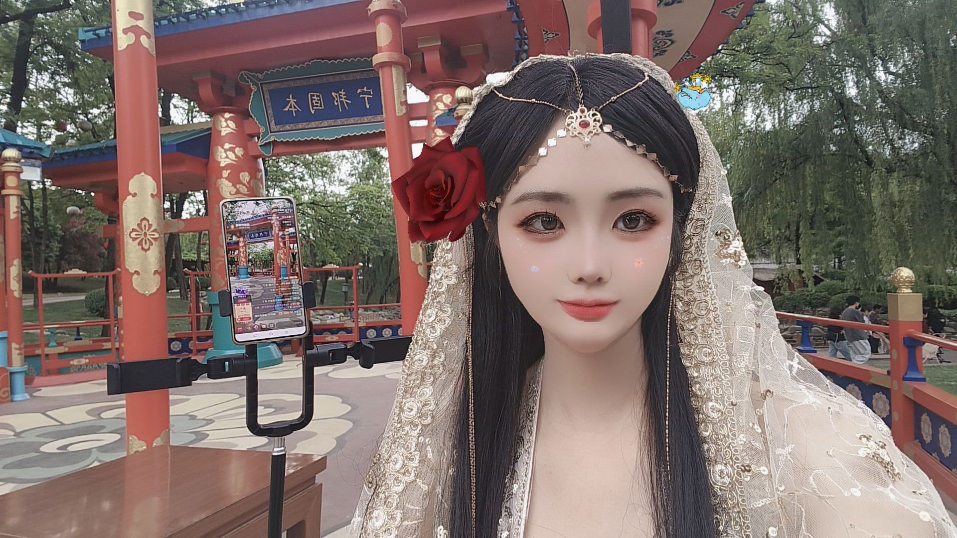 妞妞骑行全国的图片
