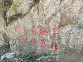 世外桃源-许巍主播照片