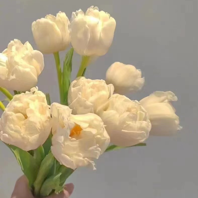 来自洛杉矶的大鲵海报
