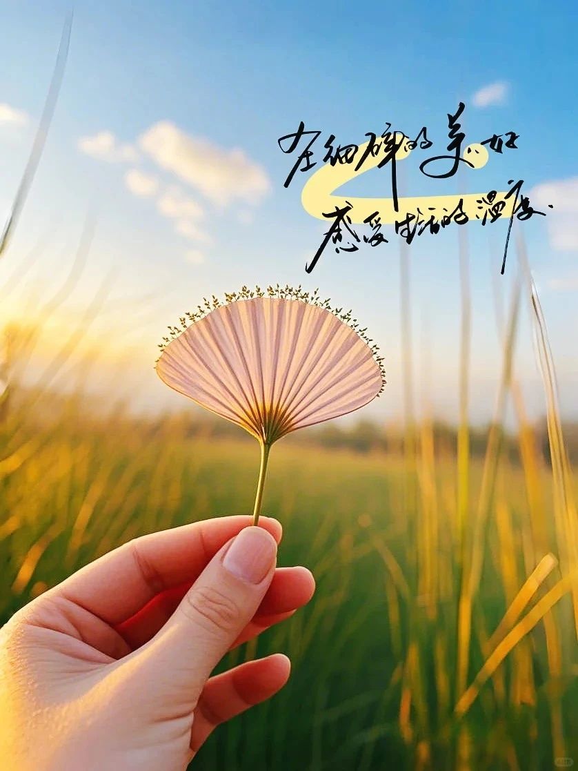 岚☆若冰♂的图片