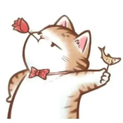 我嘞个兜