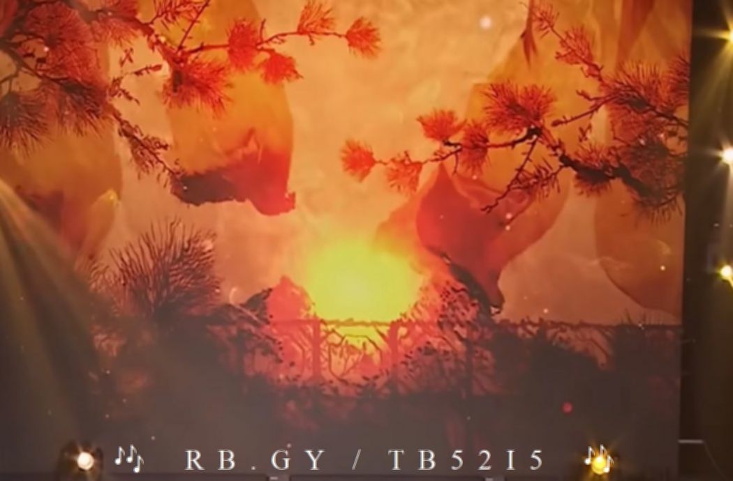 GYrb4q5b的图片