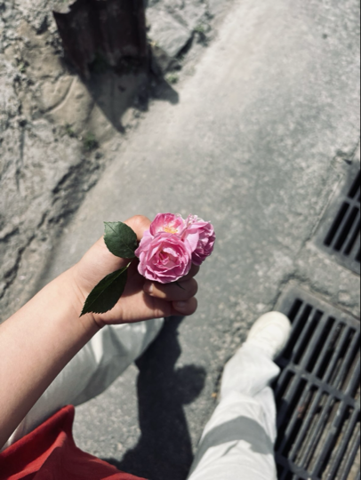 我爱听“枫”海报