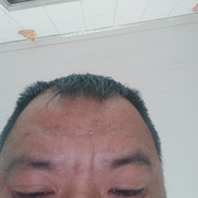 刘平ai