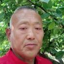 中國好男人zo的頭像