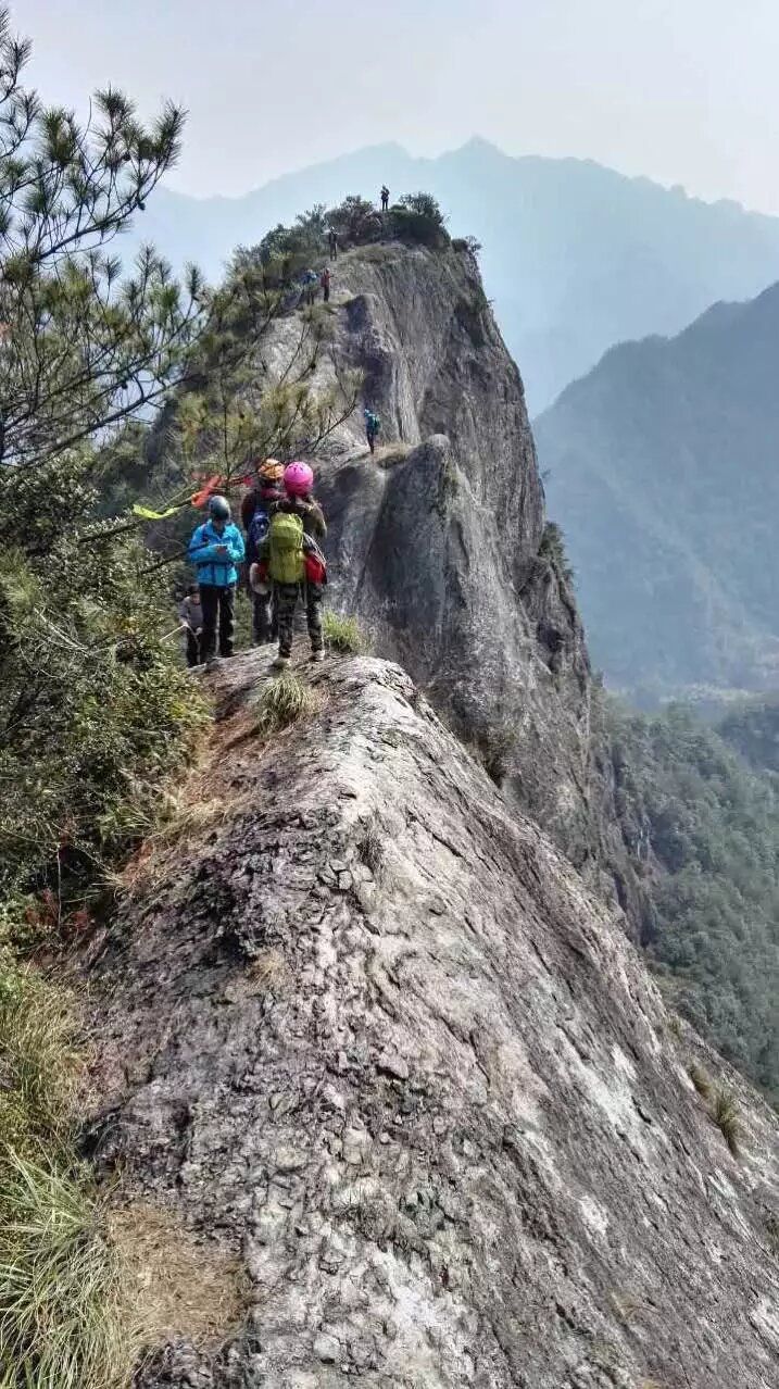 倒三賴王者陪打主播圖片