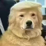 你的锦年