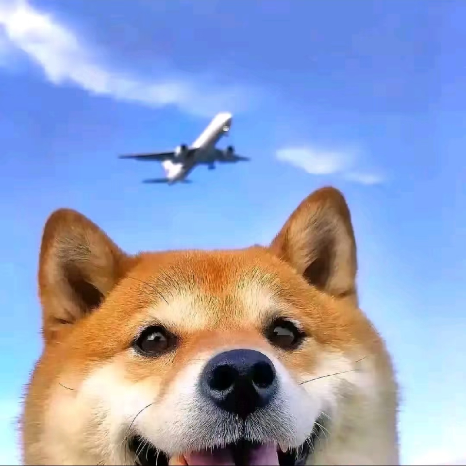 情愫🌝海报