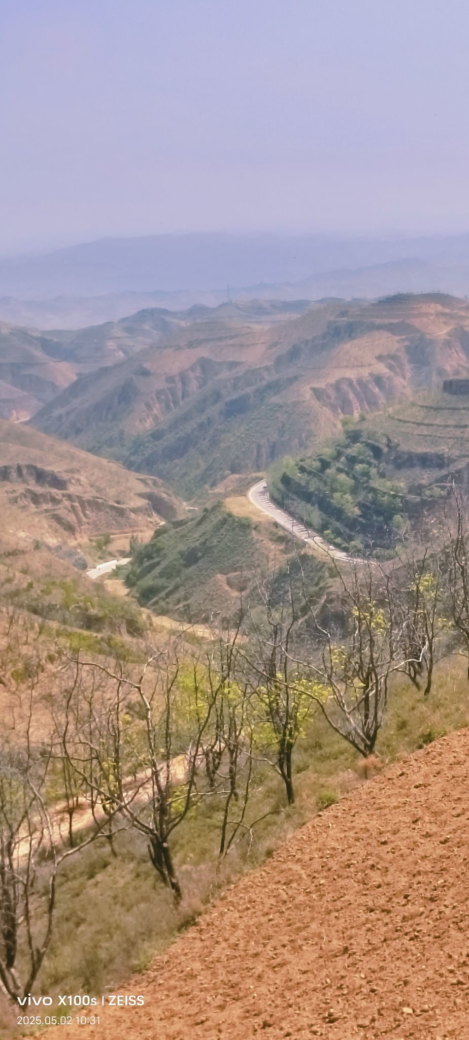 妞妞骑行全国的图片