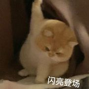 小胖町的頭像