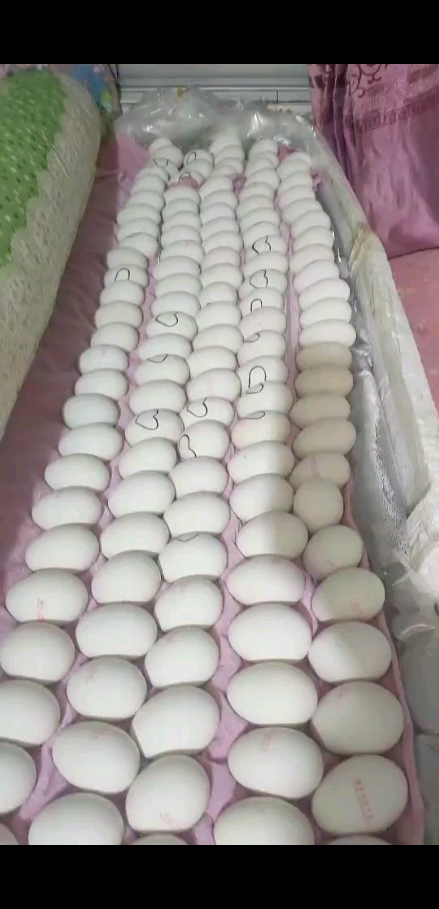 孵小鵝啦