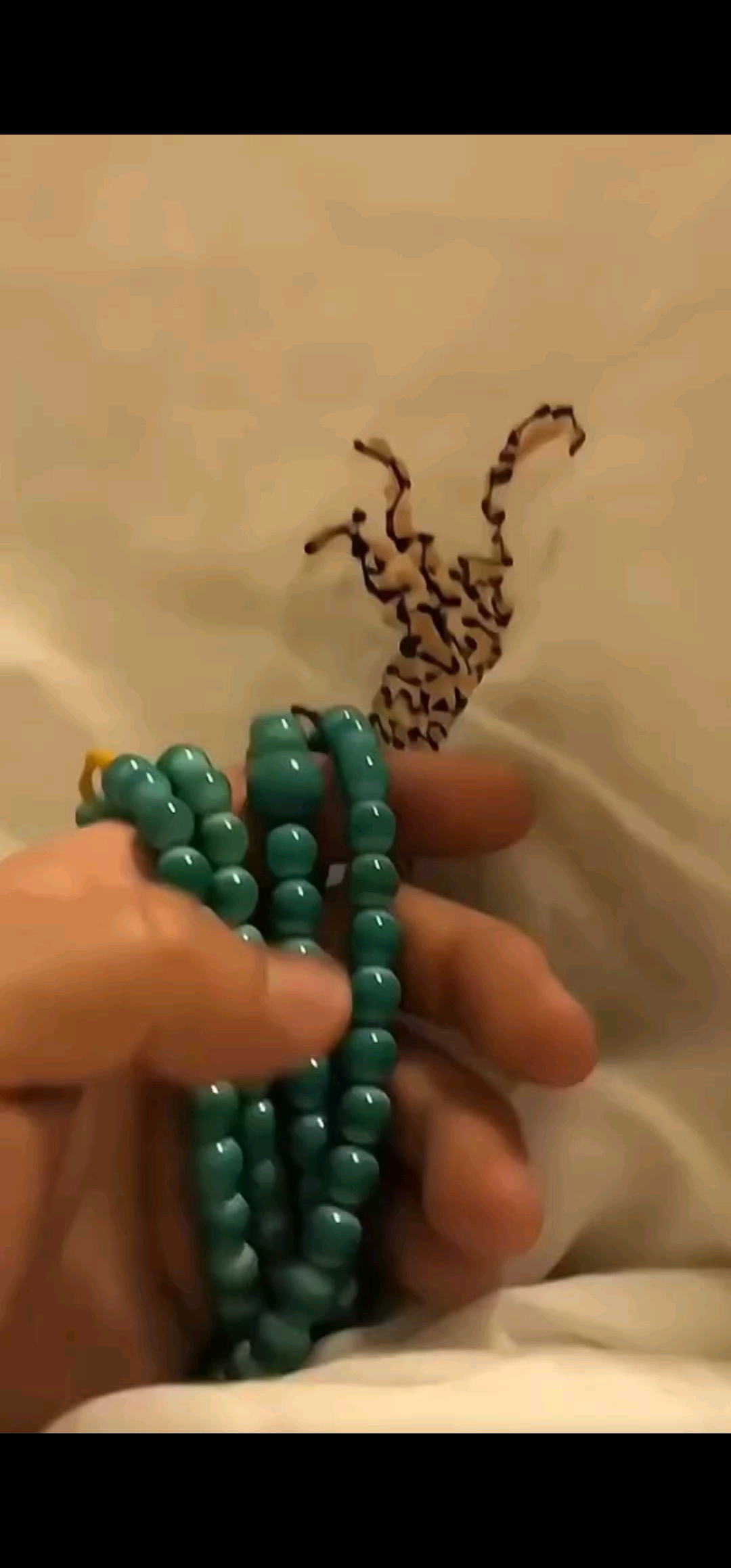 择一物终老！