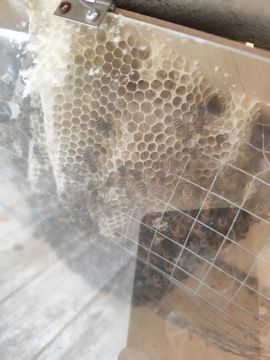 小谢农村田园生活主播照片
