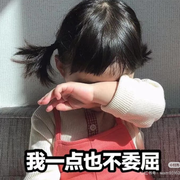 萌新宝宝8ctED6海报