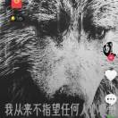 拼命三郎9u的头像