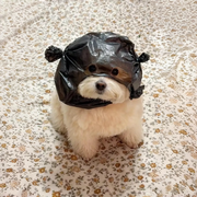 富贵.0