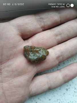 编-终主播照片