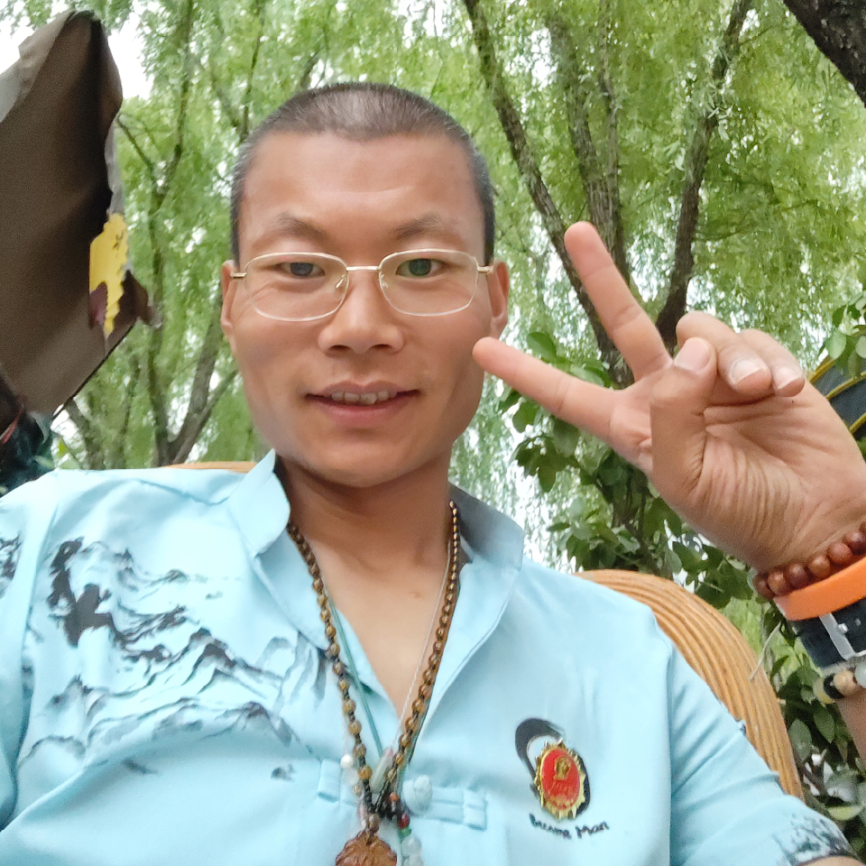 孤星异才海报