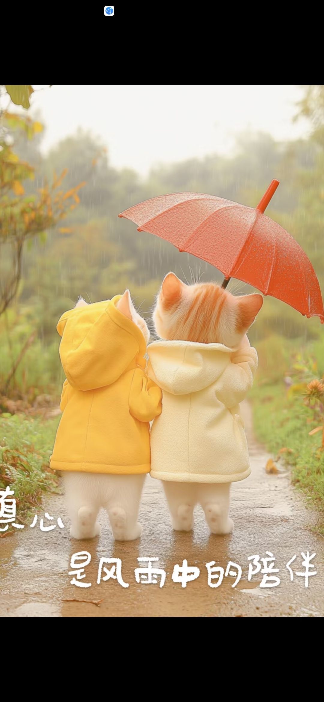 丑小鸭💞愿有一束光的图片