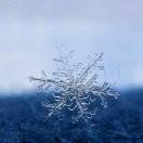 凡华胜雪海报