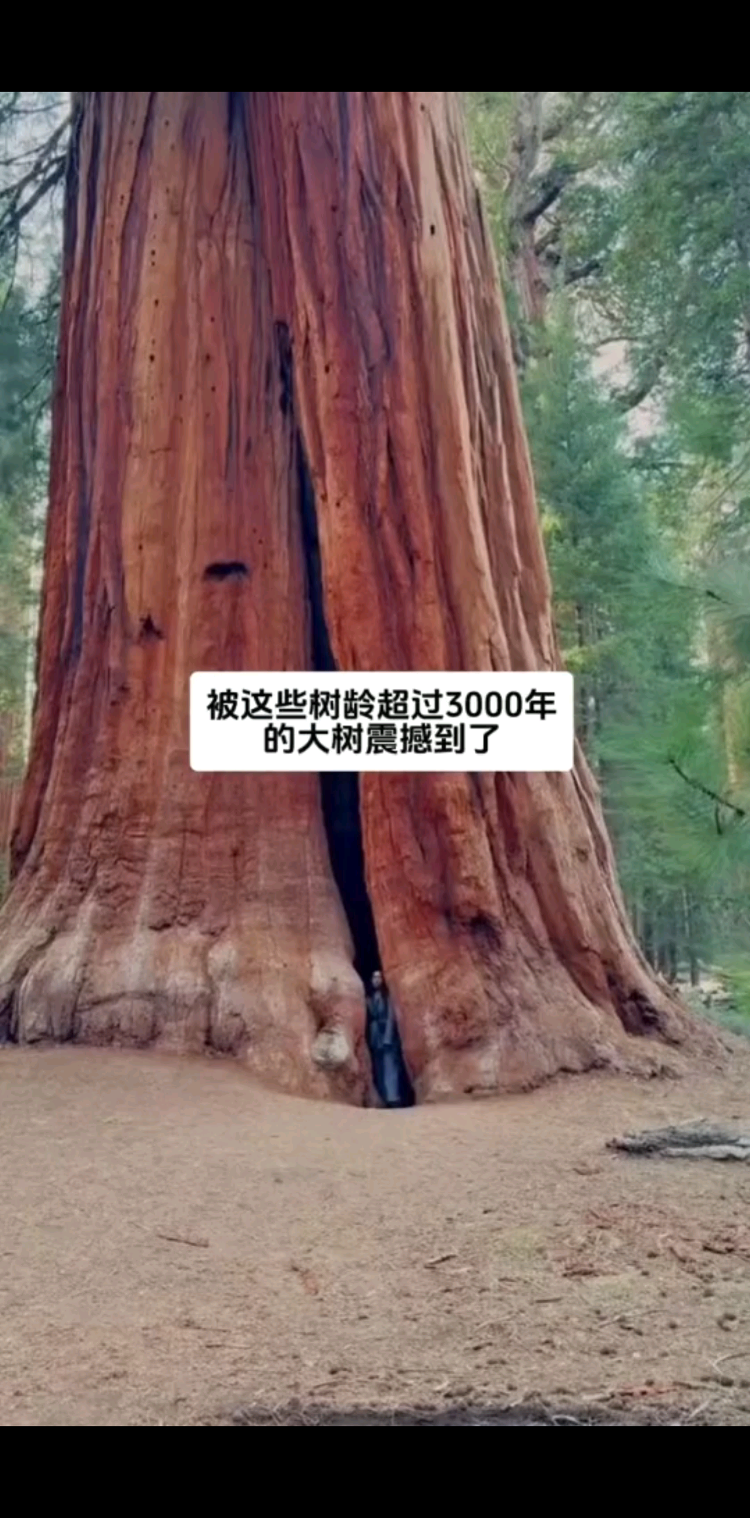 早安🌱🌱🌱所有哥哥姐