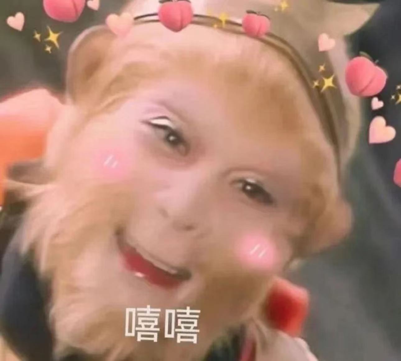 皖皖💰主播图片