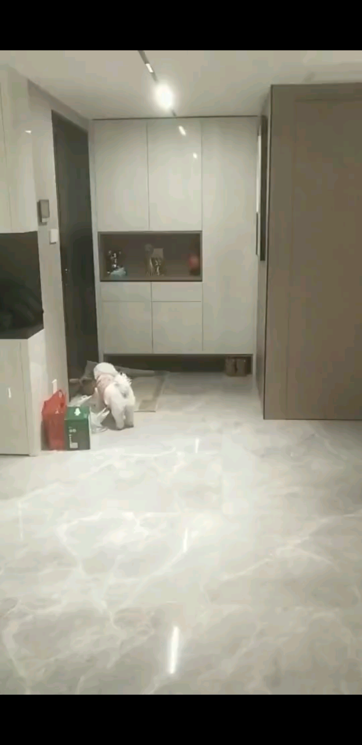 (^～^)