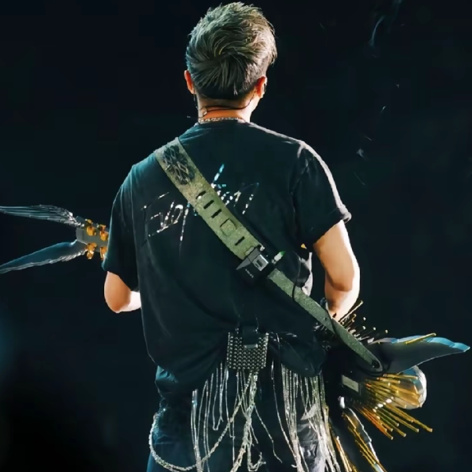 🦁狮子座🎸海报