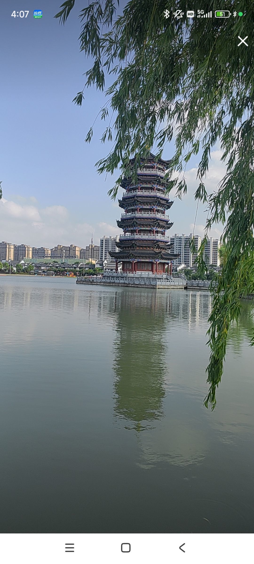 婷婷💕感恩有你陪伴的图片