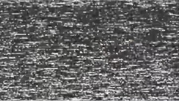 狗哥记事0005