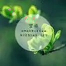 幸福的一家人gp9